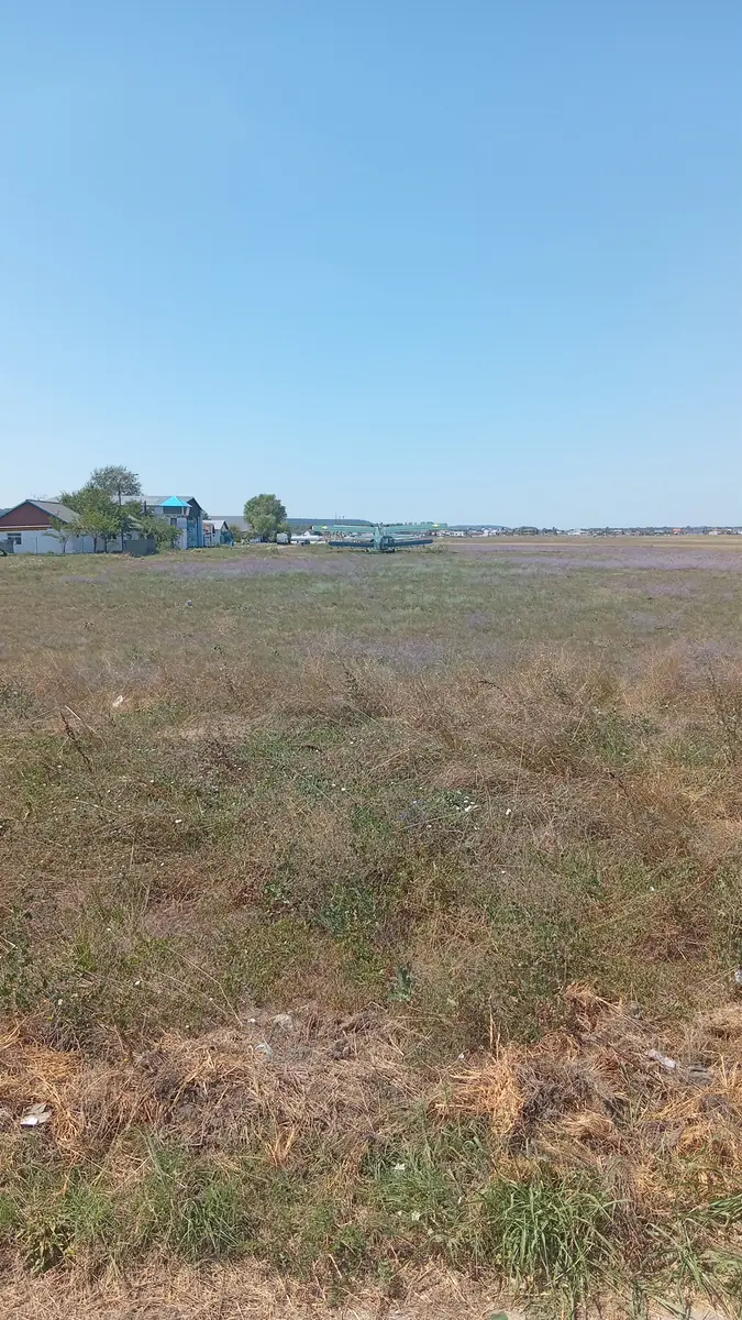 The field looking towards the hangars
