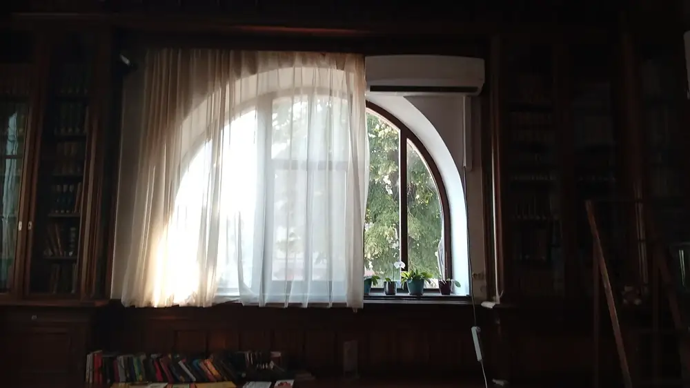 An arched window set into the shelving, orchids on the sill