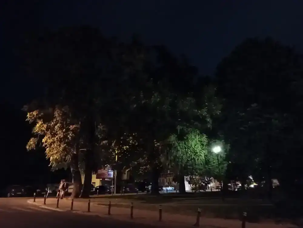 Bollards and trees at the park's edge, just after dark