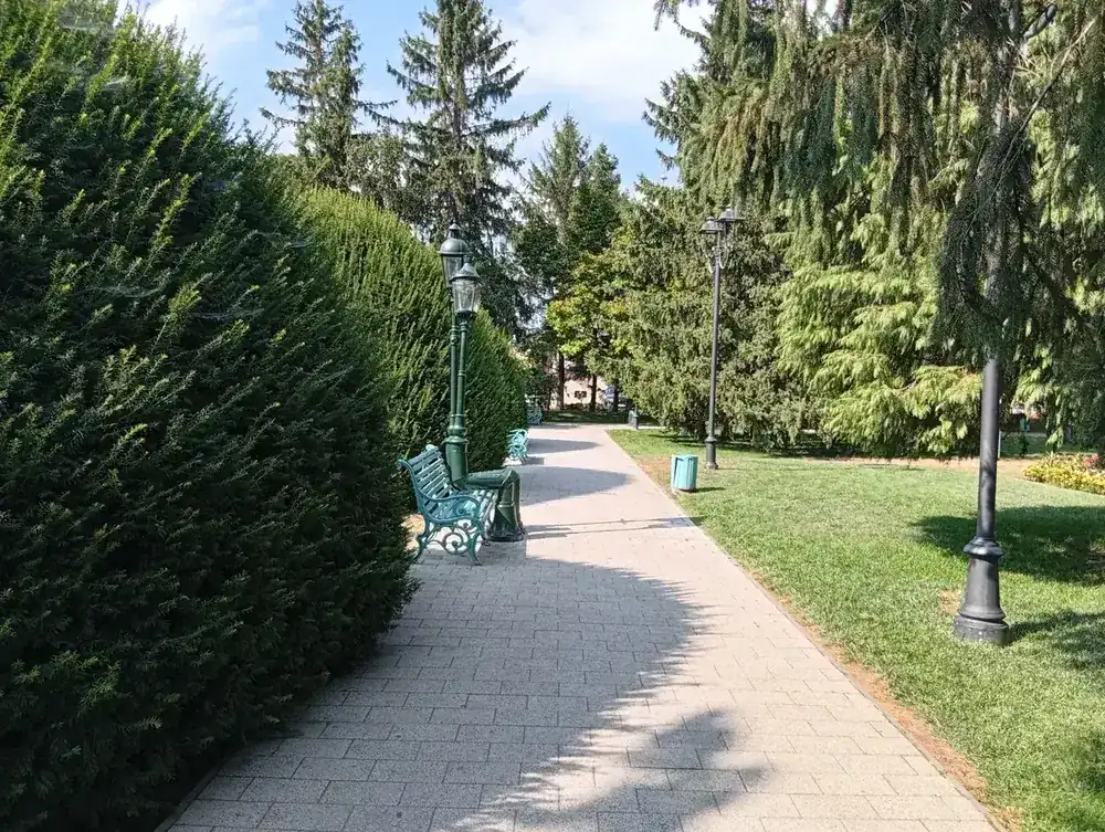 Paved walk between clipped hedges
