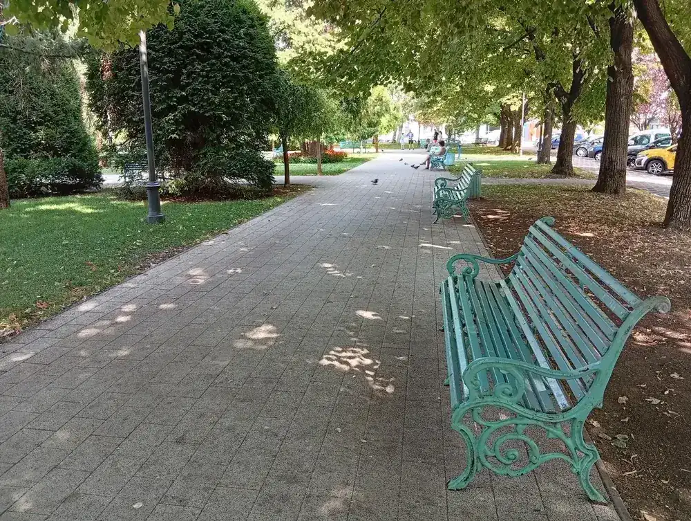 Benches down the main walk