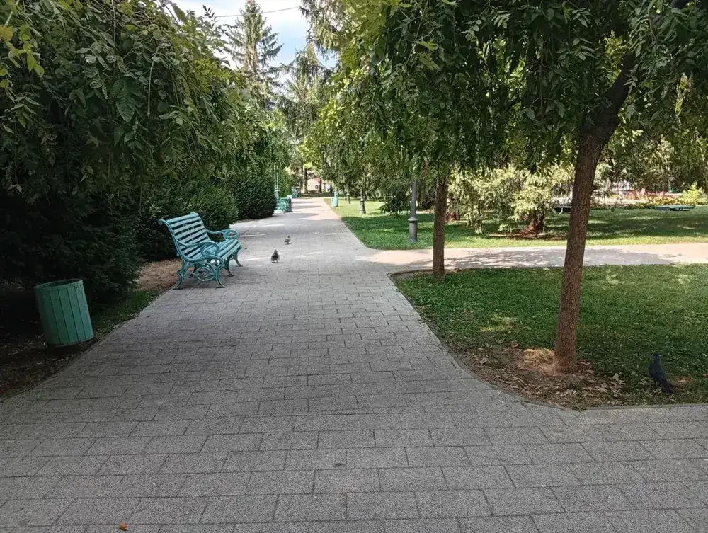 Bench and pigeons on the paving
