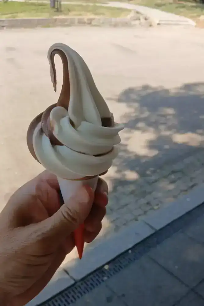 A chocolate-and-vanilla soft cone from one of the kiosks on the park paths