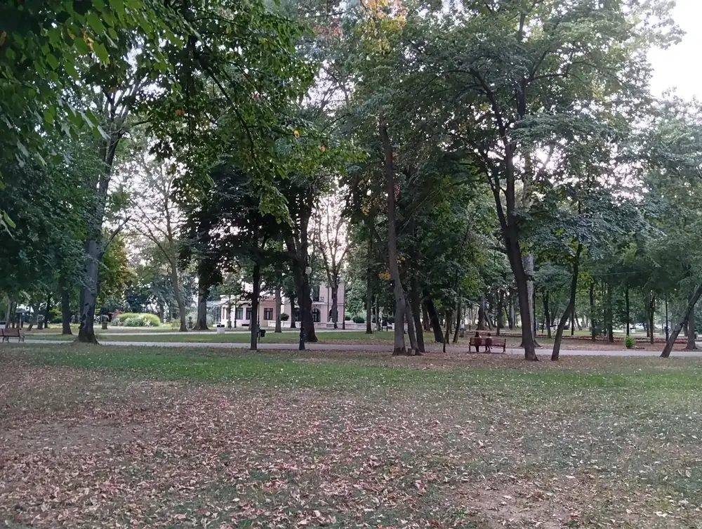 The lawns below the Casa Albă, in the last of the light