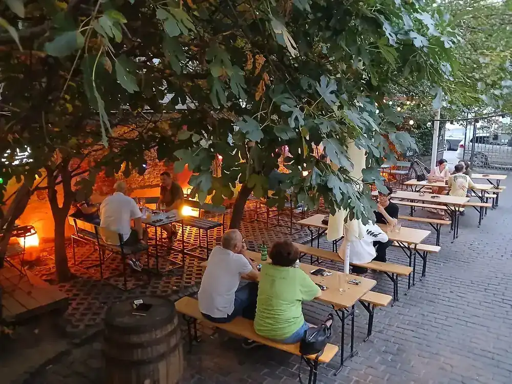 Trestle benches under the fig tree