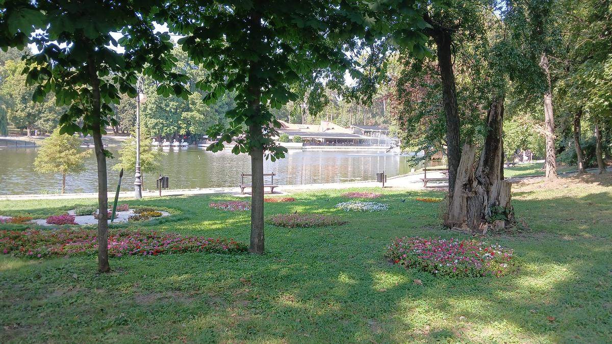 The lake in Nicolae Romanescu Park, Craiova, seen through chestnut trees with flowerbeds in the foreground