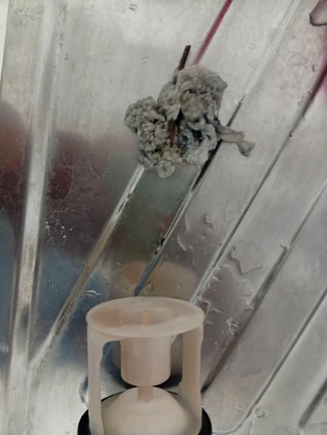 A wad of lint and tissue caught in the drain filter
